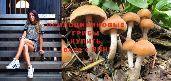 гидропоника Абаза