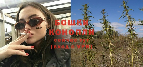 крисы Абдулино
